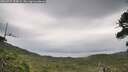 ./images/calvert/fitz-hugh-hecate/20260727/fitz-hugh-hecate20260727_153001M.jpg