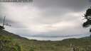 ./images/calvert/fitz-hugh-hecate/20260727/fitz-hugh-hecate20260727_153501M.jpg