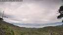 ./images/calvert/fitz-hugh-hecate/20260727/fitz-hugh-hecate20260727_155002M.jpg