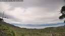 ./images/calvert/fitz-hugh-hecate/20260727/fitz-hugh-hecate20260727_155501M.jpg
