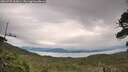 ./images/calvert/fitz-hugh-hecate/20260727/fitz-hugh-hecate20260727_162001M.jpg