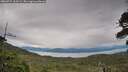 ./images/calvert/fitz-hugh-hecate/20260727/fitz-hugh-hecate20260727_163501M.jpg