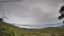 ./images/calvert/fitz-hugh-hecate/20260727/fitz-hugh-hecate20260727_183002M.jpg