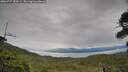 ./images/calvert/fitz-hugh-hecate/20260727/fitz-hugh-hecate20260727_183501M.jpg