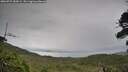 ./images/calvert/fitz-hugh-hecate/20260727/fitz-hugh-hecate20260727_184501M.jpg