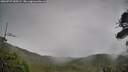./images/calvert/fitz-hugh-hecate/20260727/fitz-hugh-hecate20260727_185501M.jpg