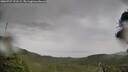 ./images/calvert/fitz-hugh-hecate/20260727/fitz-hugh-hecate20260727_191501M.jpg