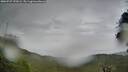 ./images/calvert/fitz-hugh-hecate/20260727/fitz-hugh-hecate20260727_192002M.jpg