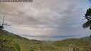 ./images/calvert/fitz-hugh-hecate/20260727/fitz-hugh-hecate20260727_203001M.jpg