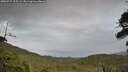 ./images/calvert/fitz-hugh-hecate/20260727/fitz-hugh-hecate20260727_205501M.jpg