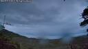 ./images/calvert/fitz-hugh-hecate/20260727/fitz-hugh-hecate20260727_214501M.jpg