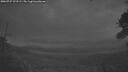 ./images/calvert/fitz-hugh-hecate/20260727/fitz-hugh-hecate20260727_221502M.jpg