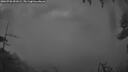 ./images/calvert/fitz-hugh-hecate/20260728/fitz-hugh-hecate20260728_051001M.jpg