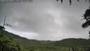 ./images/calvert/fitz-hugh-hecate/20260728/fitz-hugh-hecate20260728_074502M.jpg