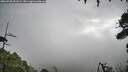 ./images/calvert/fitz-hugh-hecate/20260728/fitz-hugh-hecate20260728_091001M.jpg