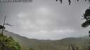 ./images/calvert/fitz-hugh-hecate/20260728/fitz-hugh-hecate20260728_103002M.jpg