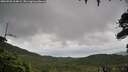 ./images/calvert/fitz-hugh-hecate/20260728/fitz-hugh-hecate20260728_104002M.jpg