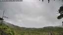 ./images/calvert/fitz-hugh-hecate/20260728/fitz-hugh-hecate20260728_111001M.jpg