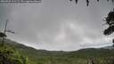 ./images/calvert/fitz-hugh-hecate/20260728/fitz-hugh-hecate20260728_111501M.jpg