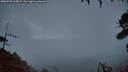 ./images/calvert/fitz-hugh-hecate/20260728/fitz-hugh-hecate20260728_215002M.jpg