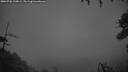 ./images/calvert/fitz-hugh-hecate/20260728/fitz-hugh-hecate20260728_220001M.jpg