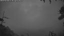 ./images/calvert/fitz-hugh-hecate/20260728/fitz-hugh-hecate20260728_220501M.jpg