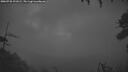 ./images/calvert/fitz-hugh-hecate/20260728/fitz-hugh-hecate20260728_221002M.jpg