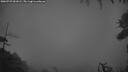 ./images/calvert/fitz-hugh-hecate/20260729/fitz-hugh-hecate20260729_051001M.jpg