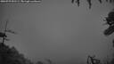 ./images/calvert/fitz-hugh-hecate/20260729/fitz-hugh-hecate20260729_051501M.jpg