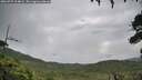 ./images/calvert/fitz-hugh-hecate/20260729/fitz-hugh-hecate20260729_104002M.jpg