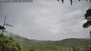 ./images/calvert/fitz-hugh-hecate/20260729/fitz-hugh-hecate20260729_105002M.jpg