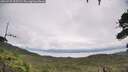 ./images/calvert/fitz-hugh-hecate/20260729/fitz-hugh-hecate20260729_115502M.jpg