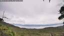 ./images/calvert/fitz-hugh-hecate/20260729/fitz-hugh-hecate20260729_120501M.jpg
