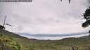 ./images/calvert/fitz-hugh-hecate/20260729/fitz-hugh-hecate20260729_121501M.jpg
