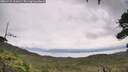./images/calvert/fitz-hugh-hecate/20260729/fitz-hugh-hecate20260729_122001M.jpg