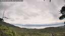 ./images/calvert/fitz-hugh-hecate/20260729/fitz-hugh-hecate20260729_123001M.jpg