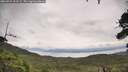 ./images/calvert/fitz-hugh-hecate/20260729/fitz-hugh-hecate20260729_123501M.jpg
