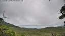 ./images/calvert/fitz-hugh-hecate/20260729/fitz-hugh-hecate20260729_165002M.jpg