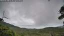 ./images/calvert/fitz-hugh-hecate/20260729/fitz-hugh-hecate20260729_170002M.jpg