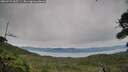 ./images/calvert/fitz-hugh-hecate/20260729/fitz-hugh-hecate20260729_185501M.jpg