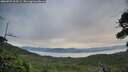 ./images/calvert/fitz-hugh-hecate/20260729/fitz-hugh-hecate20260729_203501M.jpg