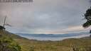 ./images/calvert/fitz-hugh-hecate/20260729/fitz-hugh-hecate20260729_210001M.jpg