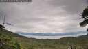 ./images/calvert/fitz-hugh-hecate/20260730/fitz-hugh-hecate20260730_082002M.jpg