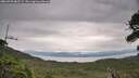 ./images/calvert/fitz-hugh-hecate/20260730/fitz-hugh-hecate20260730_082502M.jpg