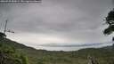 ./images/calvert/fitz-hugh-hecate/20260730/fitz-hugh-hecate20260730_085001M.jpg