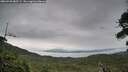 ./images/calvert/fitz-hugh-hecate/20260730/fitz-hugh-hecate20260730_085501M.jpg