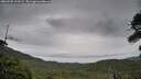 ./images/calvert/fitz-hugh-hecate/20260730/fitz-hugh-hecate20260730_110501M.jpg