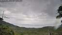 ./images/calvert/fitz-hugh-hecate/20260730/fitz-hugh-hecate20260730_114001M.jpg