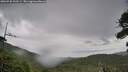 ./images/calvert/fitz-hugh-hecate/20260730/fitz-hugh-hecate20260730_120501M.jpg