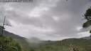 ./images/calvert/fitz-hugh-hecate/20260730/fitz-hugh-hecate20260730_123002M.jpg